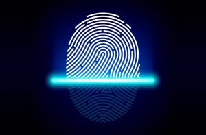 Qualcomm Fingerprint Sensors