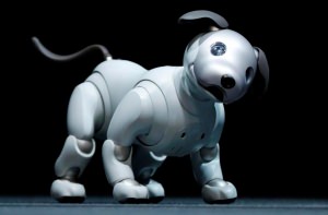 sony aibo
