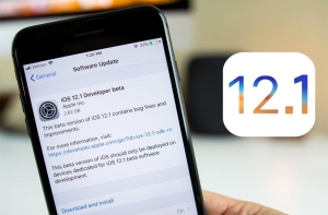 iOS 12.1