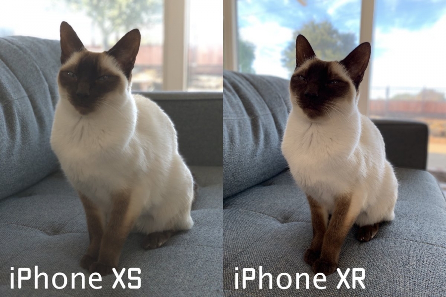 iPhone Xr сравнение