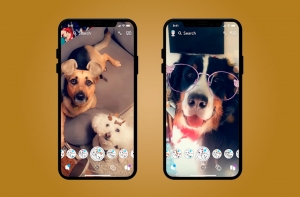 Snapchat маски для собак