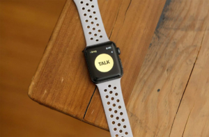 watchOS Walkie-Talkie